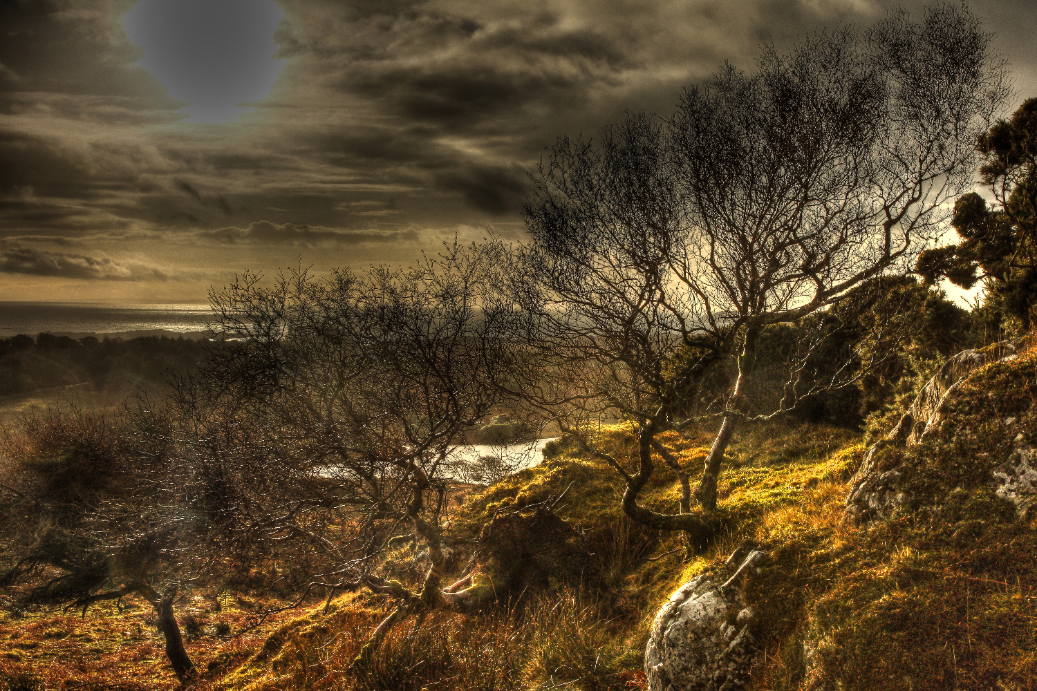 The Fairy Hill